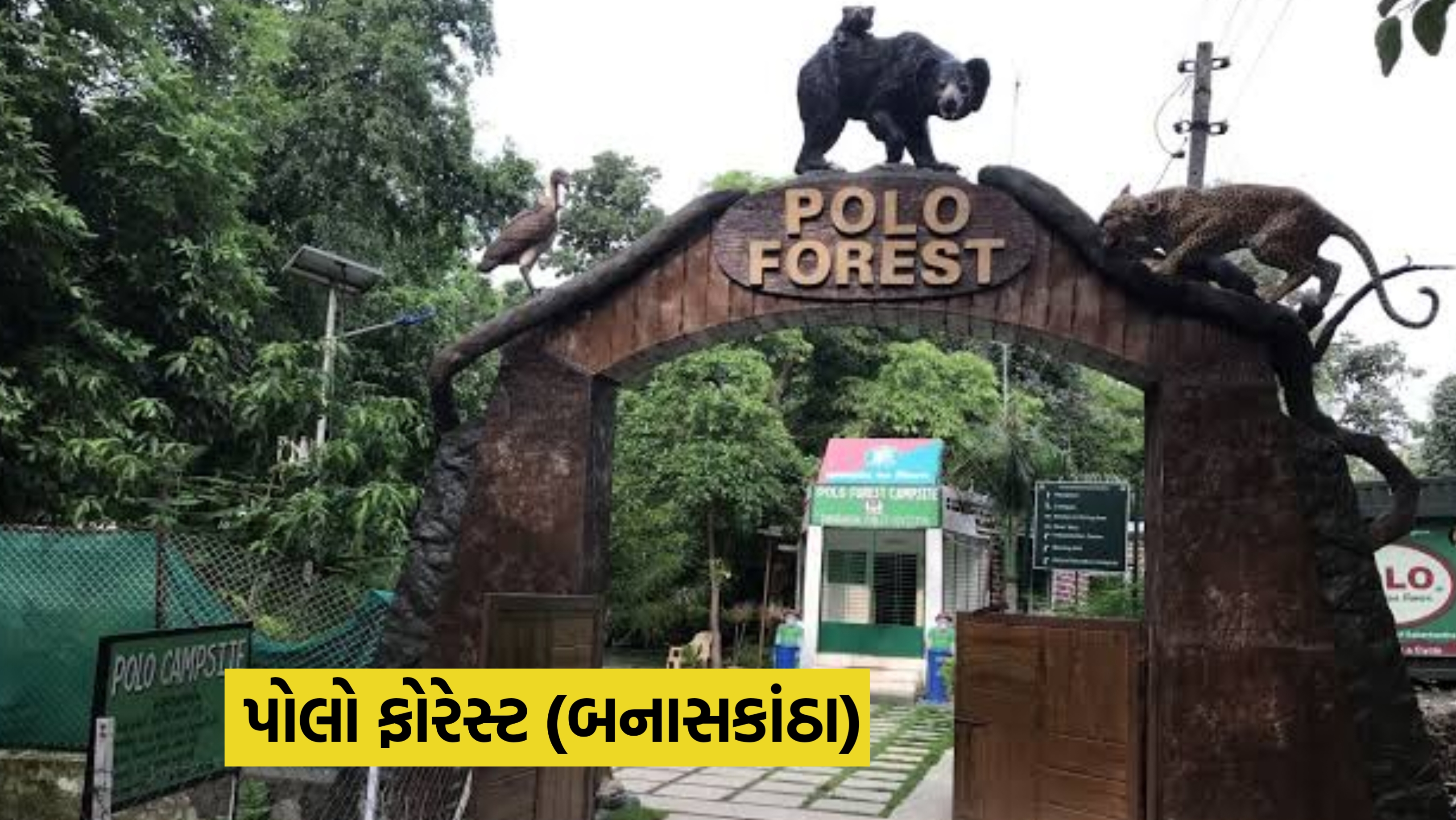 પોલો ફોરેસ્ટ – સાબરકાંઠાનો નેચરલ માર્ડ